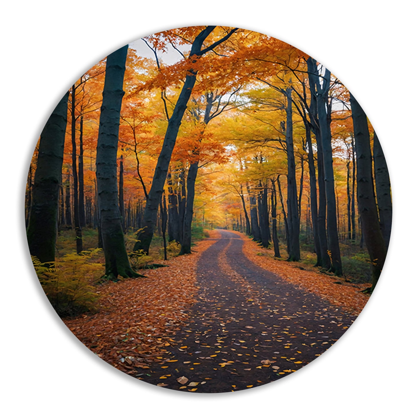 Betoverend herfstbos met kleurrijke bladeren aluminium muurcirkel