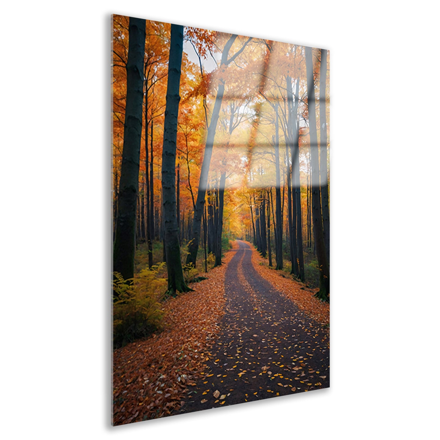 Betoverend herfstbos met kleurrijke bladeren acrylglas