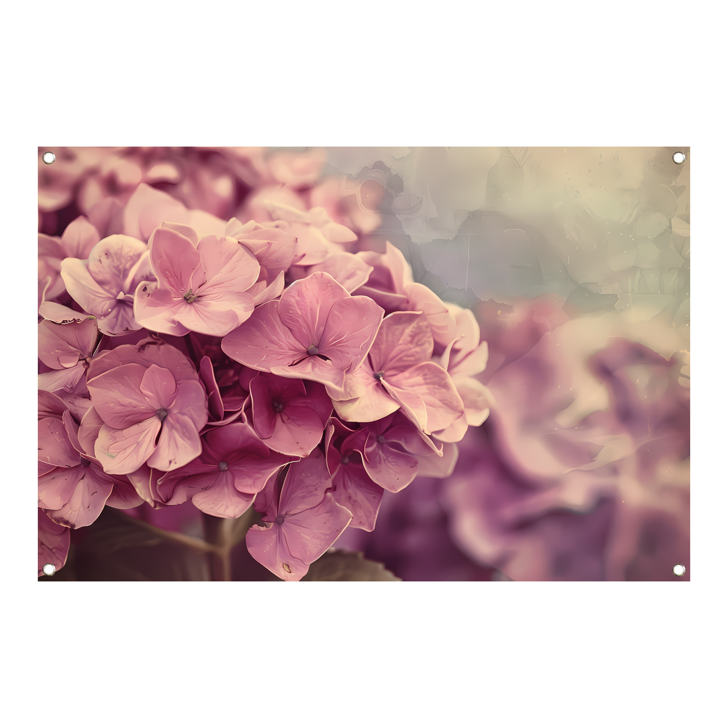 Hortensias in Zacht Roze tuinposter