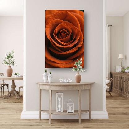 Oranje roos met dauwdruppels close-up canvas