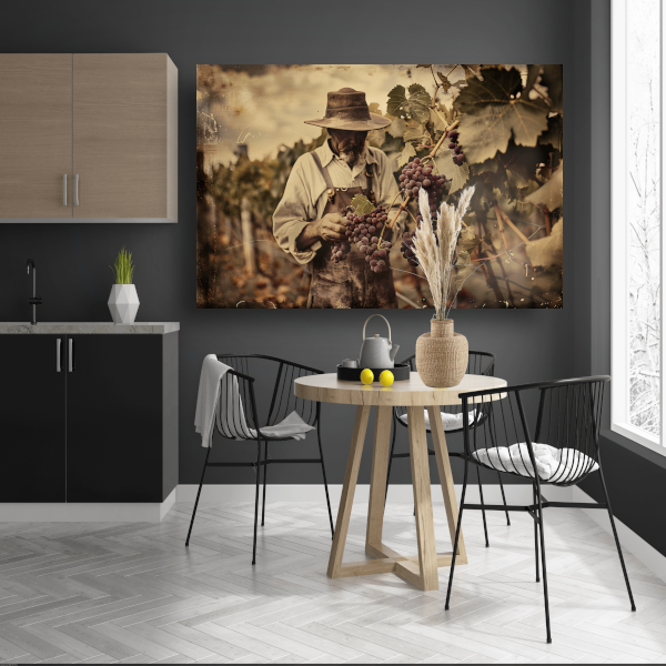 Oude wijnboer verzorgt zijn druiven acrylglas