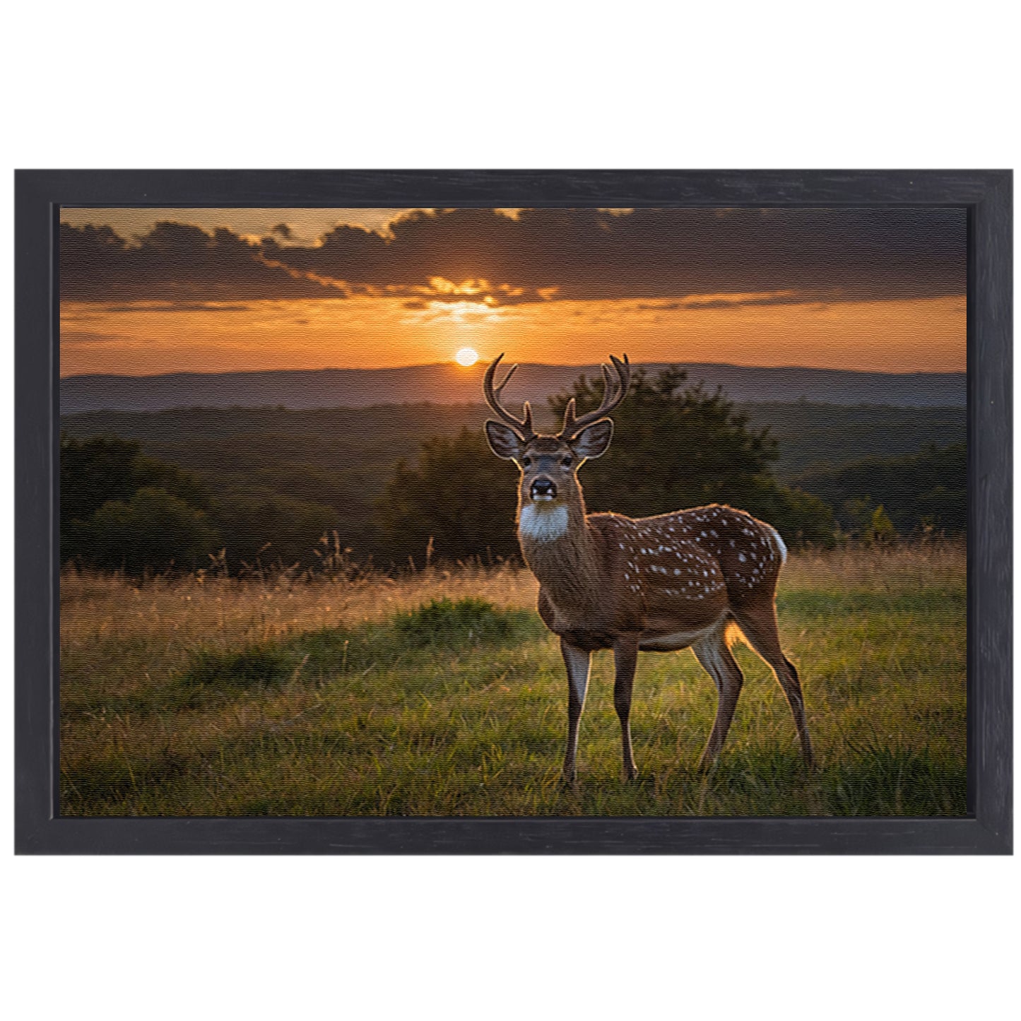 Hert in grasveld bij zonsondergang canvas met baklijst