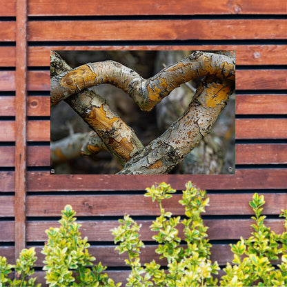 Gedetailleerde verstrengeling van boomtakken   tuinposter