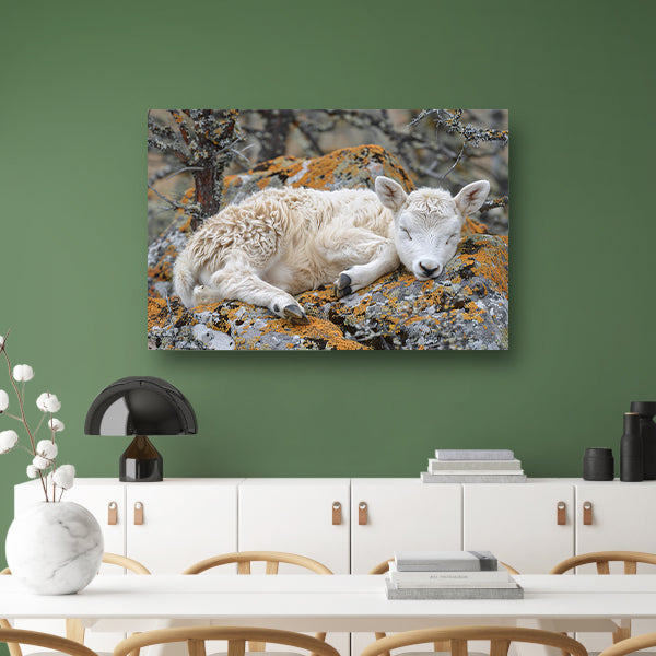 Slapende lam op rots canvas