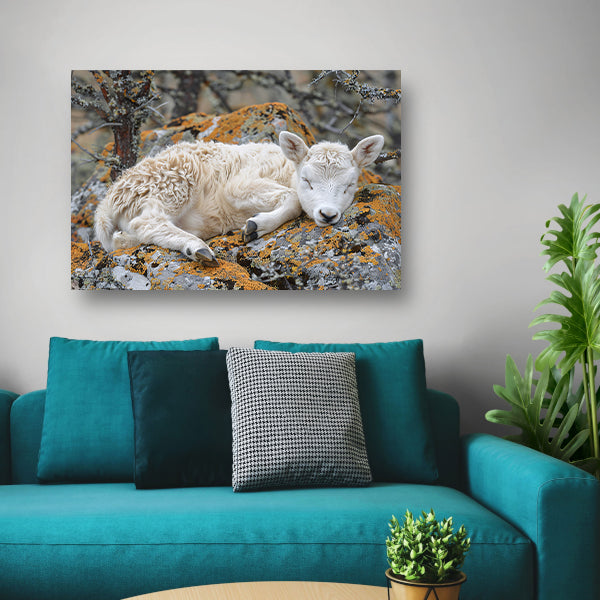 Slapende lam op rots canvas