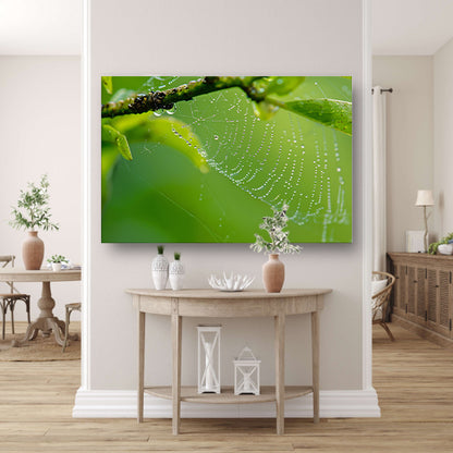 Close-up van dauw op spinnenweb met bladeren poster