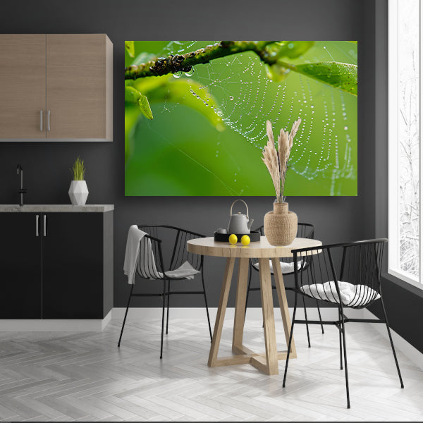Close-up van dauw op spinnenweb met bladeren poster