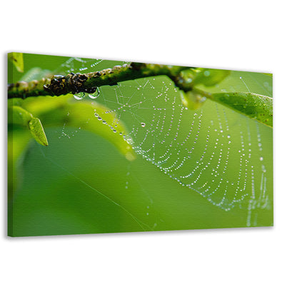 Close-up van dauw op spinnenweb met bladeren canvas