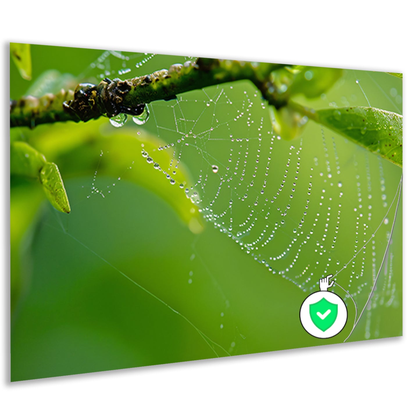 Close-up van dauw op spinnenweb met bladeren poster