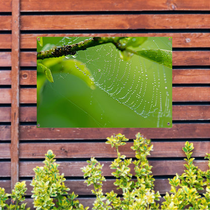 Close-up van dauw op spinnenweb met bladeren tuinposter