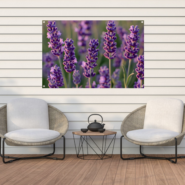 Zonovergoten lavendelveld in bloei tuinposter