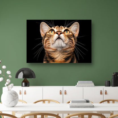 Nabij beeld van een nieuwsgierige kat  canvas