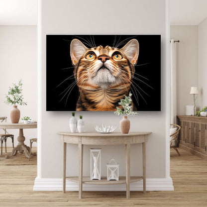 Nabij beeld van een nieuwsgierige kat  canvas