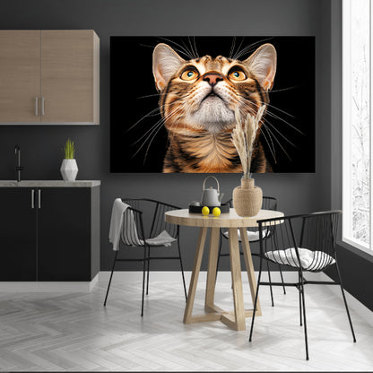 Nabij beeld van een nieuwsgierige kat  canvas