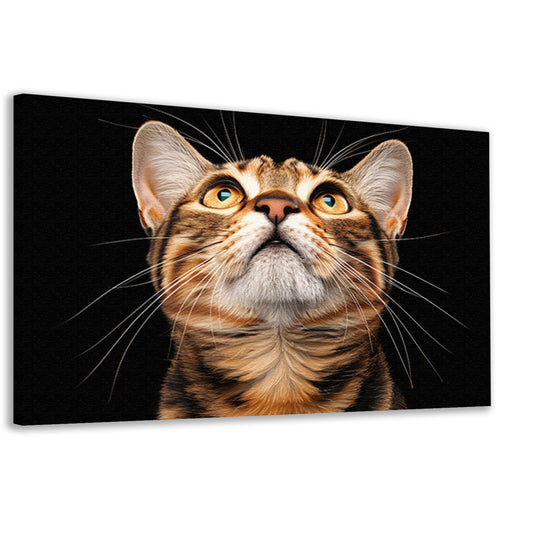 Nabij beeld van een nieuwsgierige kat  canvas