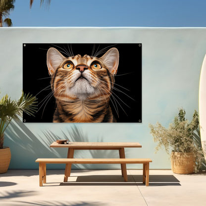 Nabij beeld van een nieuwsgierige kat   tuinposter