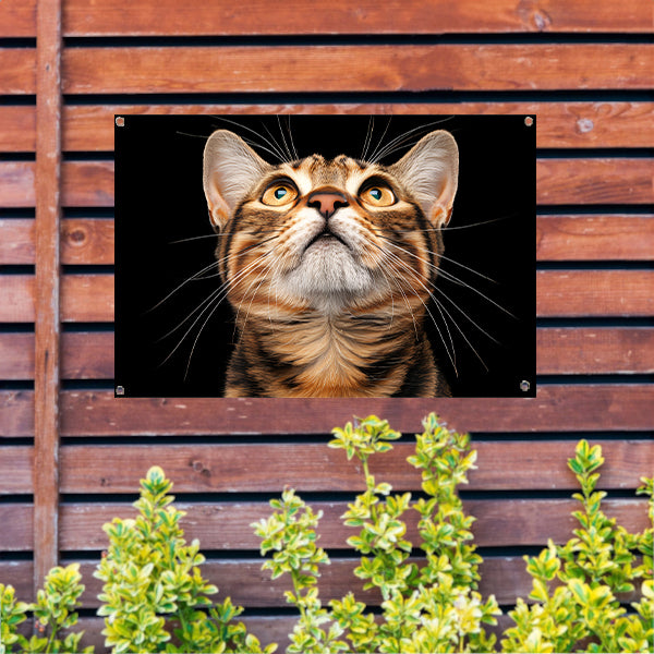 Nabij beeld van een nieuwsgierige kat   tuinposter