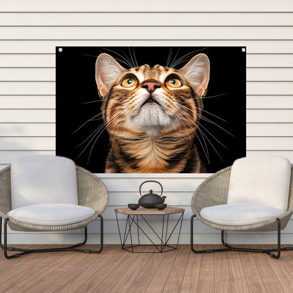 Nabij beeld van een nieuwsgierige kat   tuinposter
