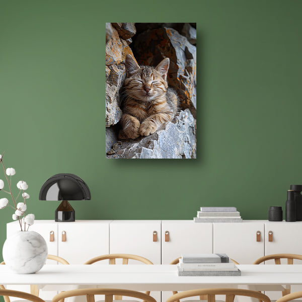 Jonge kat slaapt vredig tussen rotsen canvas met baklijst