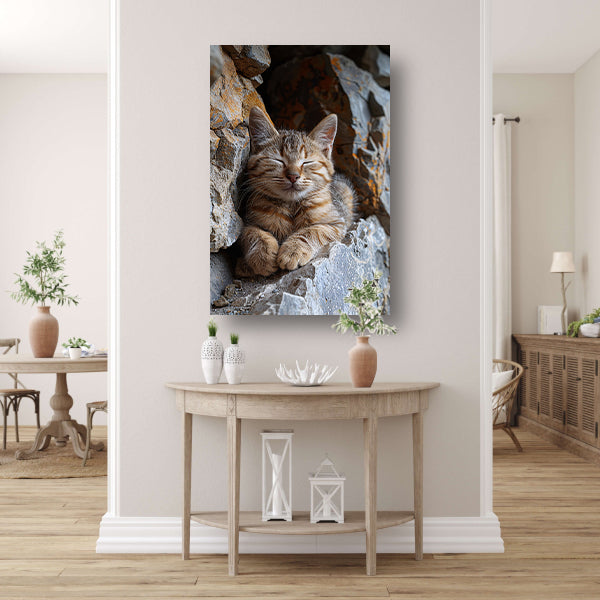 Jonge kat slaapt vredig tussen rotsen canvas met baklijst