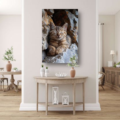 Jonge kat slaapt vredig tussen rotsen canvas met baklijst