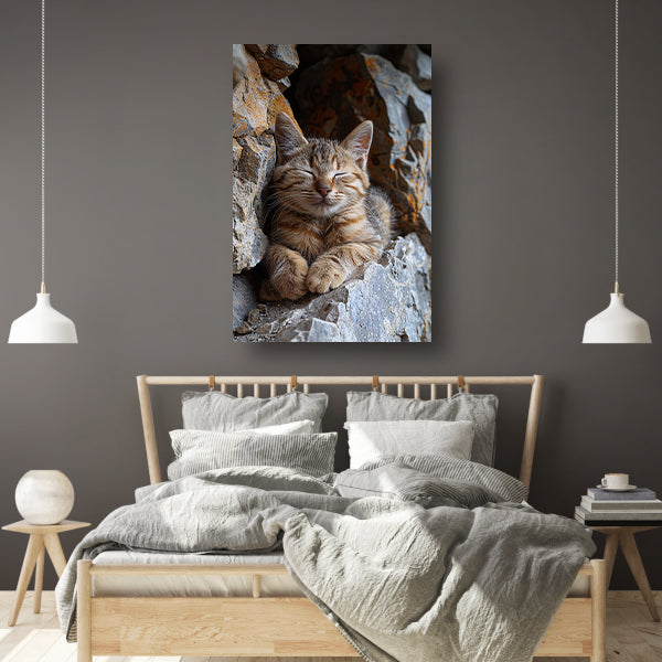Jonge kat slaapt vredig tussen rotsen canvas met baklijst