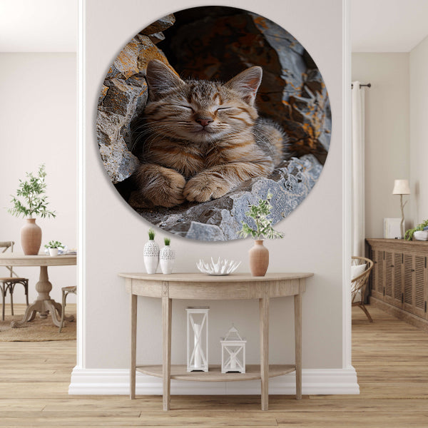 Jonge kat slaapt vredig tussen rotsen aluminium muurcirkel