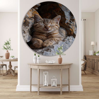 Jonge kat slaapt vredig tussen rotsen aluminium muurcirkel