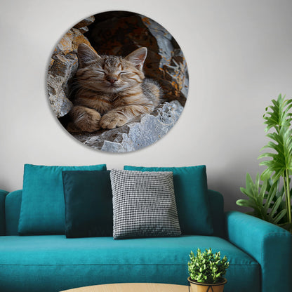 Jonge kat slaapt vredig tussen rotsen aluminium muurcirkel