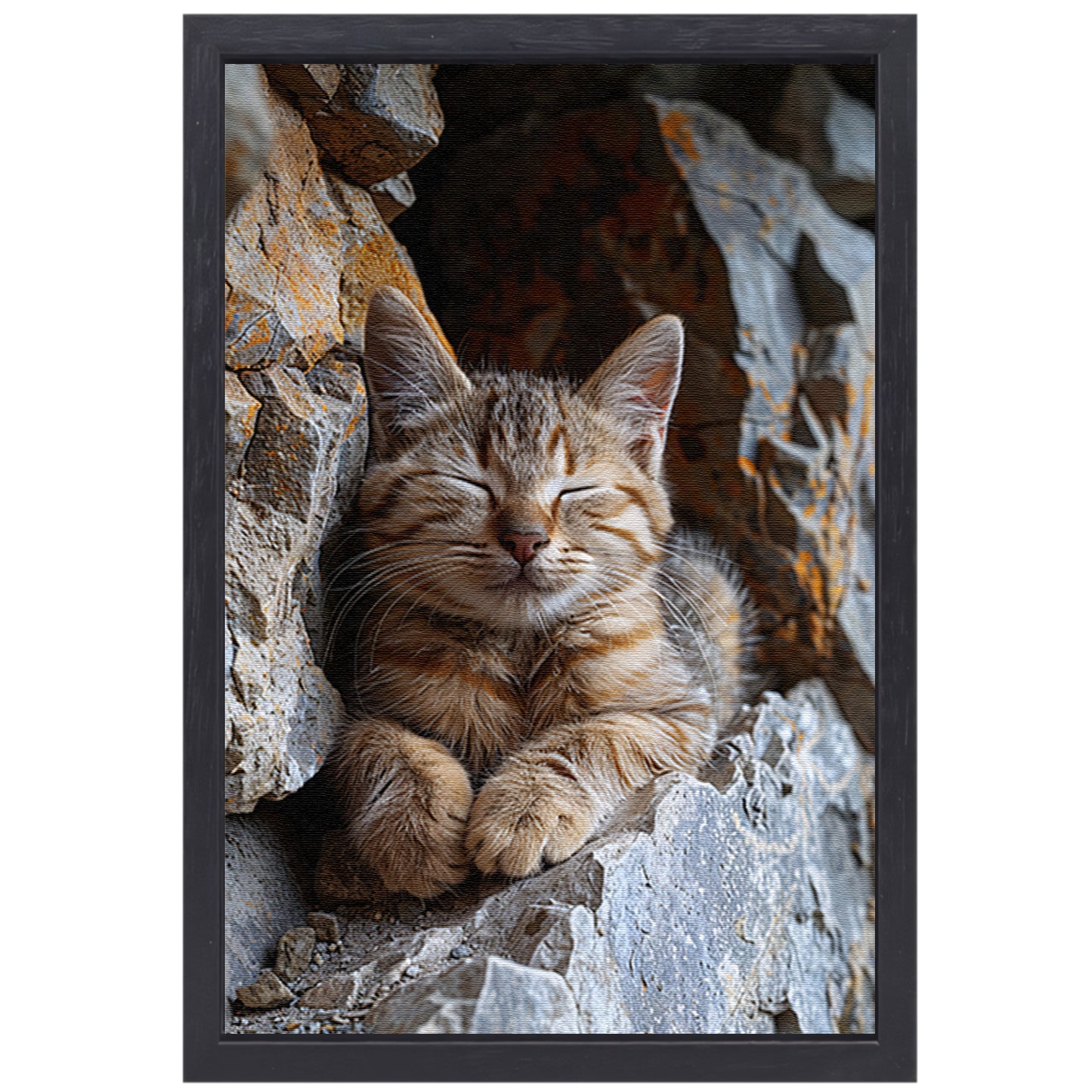 Jonge kat slaapt vredig tussen rotsen canvas met baklijst