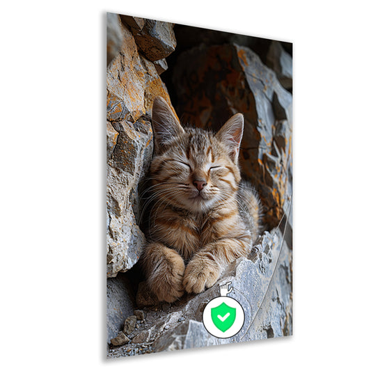 Jonge kat slaapt vredig tussen rotsen poster