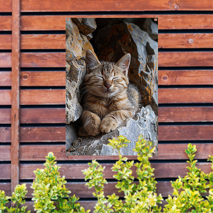 Jonge kat slaapt vredig tussen rotsen tuinposter