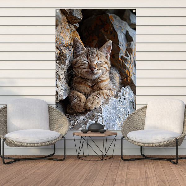 Jonge kat slaapt vredig tussen rotsen tuinposter