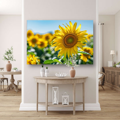 Levendige zonnebloemen tegen een helderblauwe lucht poster