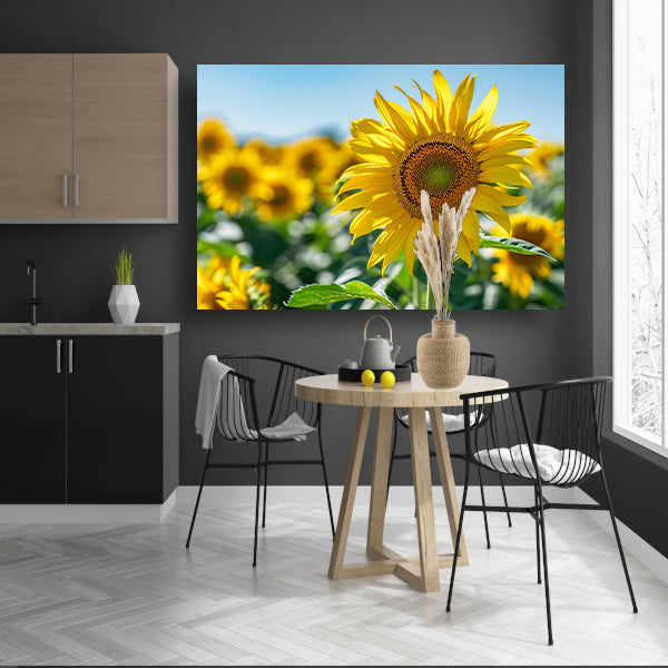 Levendige zonnebloemen tegen een helderblauwe lucht acrylglas