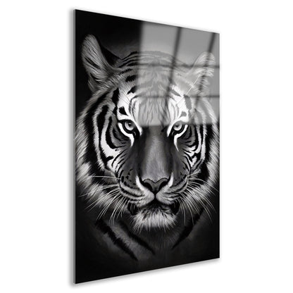 Monochroom Portret van een Majestueuze Tijger acrylglas