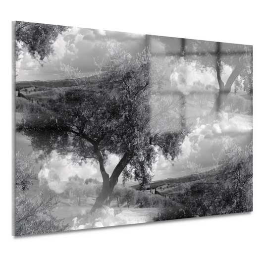 Stilleven met boom acrylglas