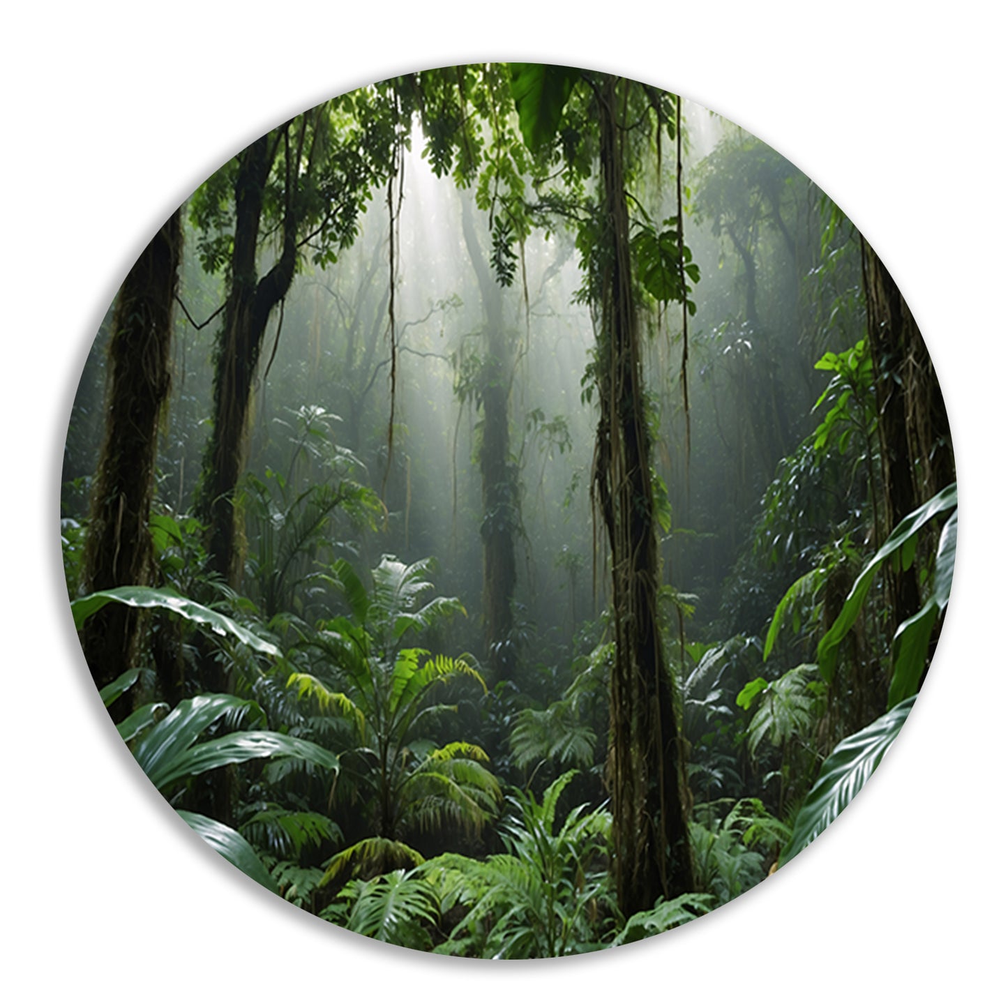 Betoverend tropisch regenwoud in ochtendlicht forex muurcirkel