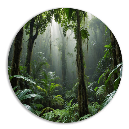 Betoverend tropisch regenwoud in ochtendlicht forex muurcirkel