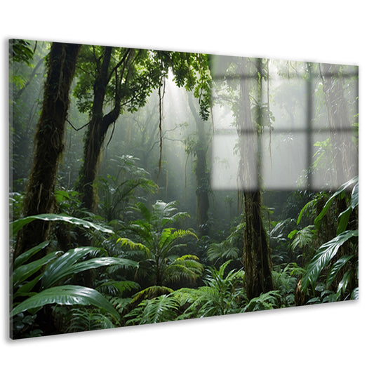 Betoverend tropisch regenwoud in ochtendlicht acrylglas
