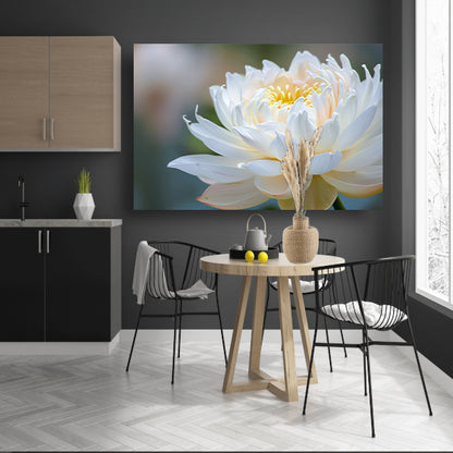 Elegante close-up van bloeiende witte lotus acrylglas