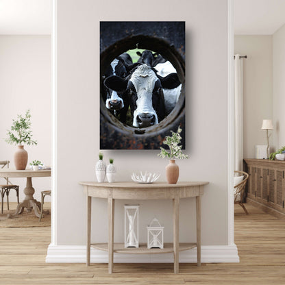 Nieuwsgierige koeien kijken door een wiel canvas