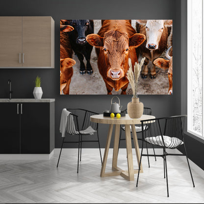 Koeien met intense blik op het plattelandposter