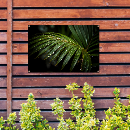 Blad met waterdruppels in close-up tuinposter