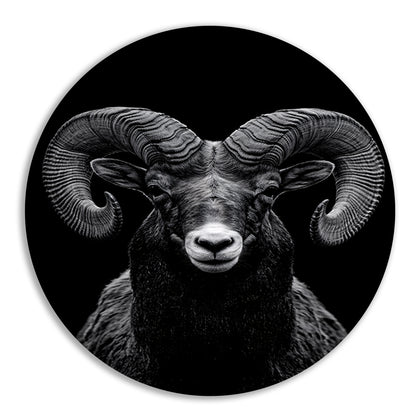 Indrukwekkend zwart-wit portret van een majestueuze ram aluminium muurcirkel
