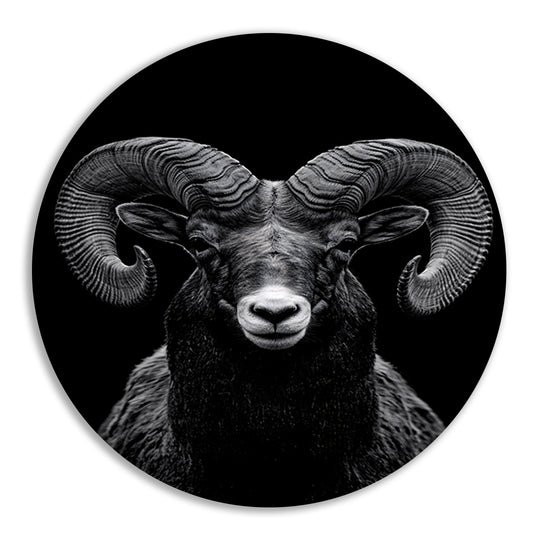 Indrukwekkend zwart-wit portret van een majestueuze ram aluminium muurcirkel