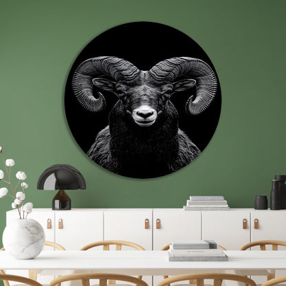 Indrukwekkend zwart-wit portret van een majestueuze ram aluminium muurcirkel