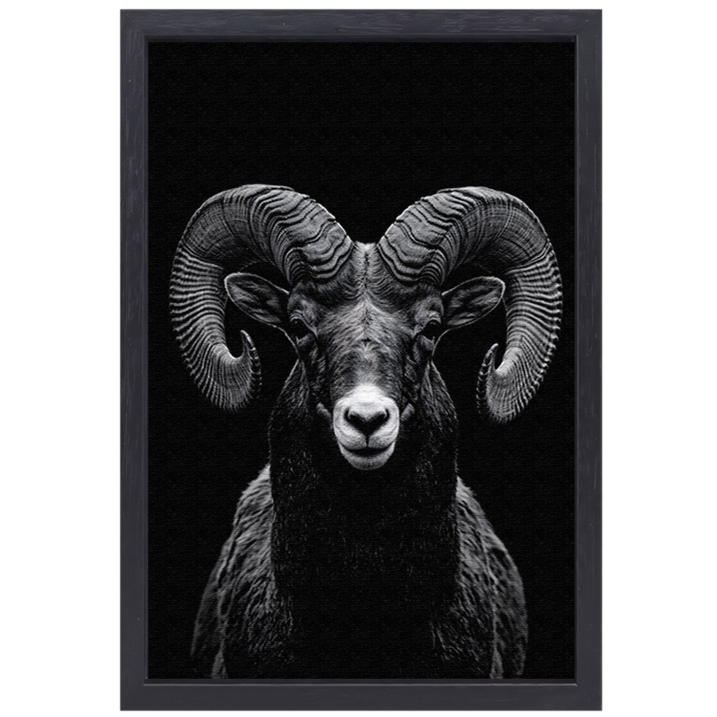 Indrukwekkend zwart-wit portret van een majestueuze ram canvas met baklijst