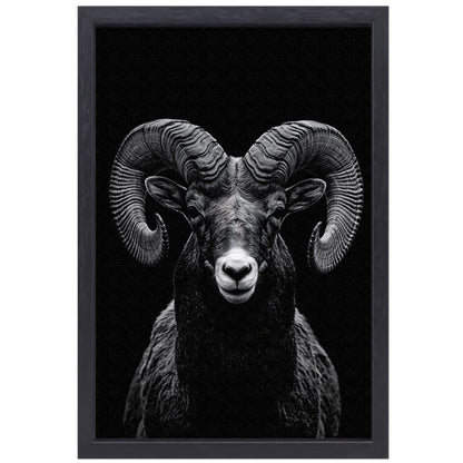 Indrukwekkend zwart-wit portret van een majestueuze ram canvas met baklijst