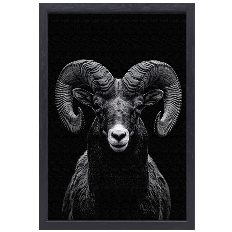 Indrukwekkend zwart-wit portret van een majestueuze ram canvas met baklijst
